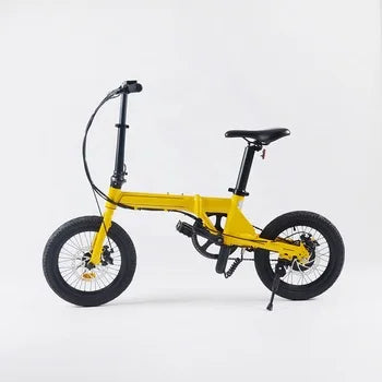 Folding Electric Bike - 16in Tires, 250W Lithium Battery