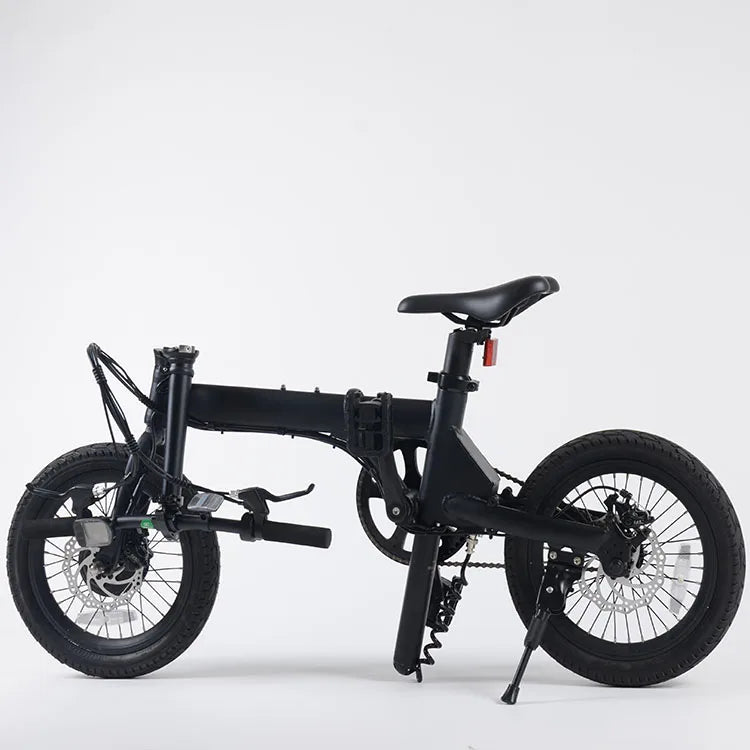 Folding Electric Bike - 16in Tires, 250W Lithium Battery